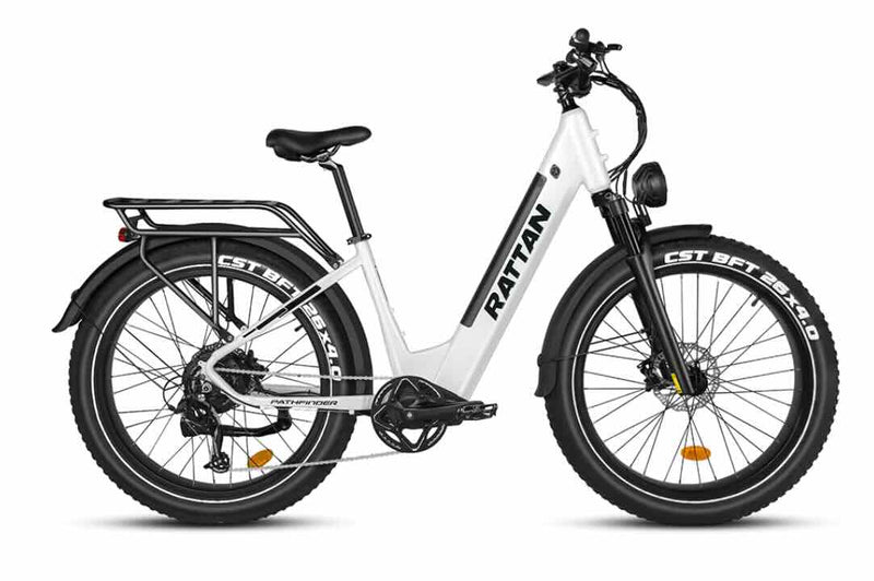 Rattan Pathfinder 750W Step Through eBike / wellbots