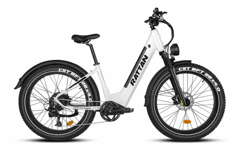 Rattan Pathfinder 750W Step Through eBike / wellbots