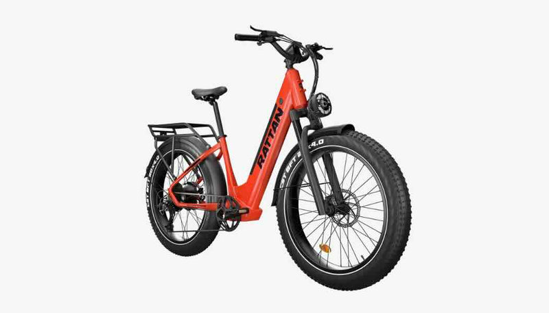 Rattan Pathfinder 750W Step Through eBike / wellbots