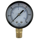 Regulator Replacement Gauge 0-60
