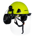 Safety Helmet System with Face Shield and Earmuffs