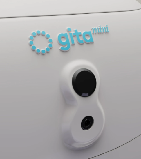 Piaggio Fast Forward - Gitamini