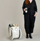 Piaggio Fast Forward - Gitamini 