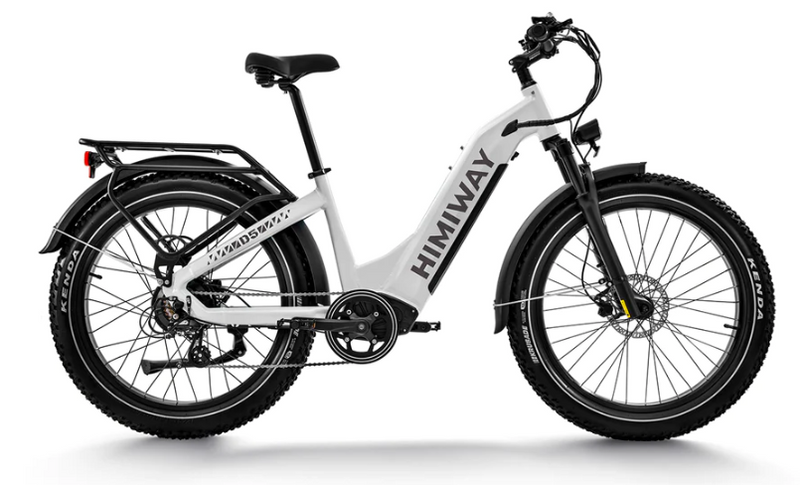 Himiway Premium All-terrain Electric Fat Bike Zebra
