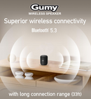 Special Bundle JVC Open Ear "Nearphones" Black + FREE Wireless Speaker