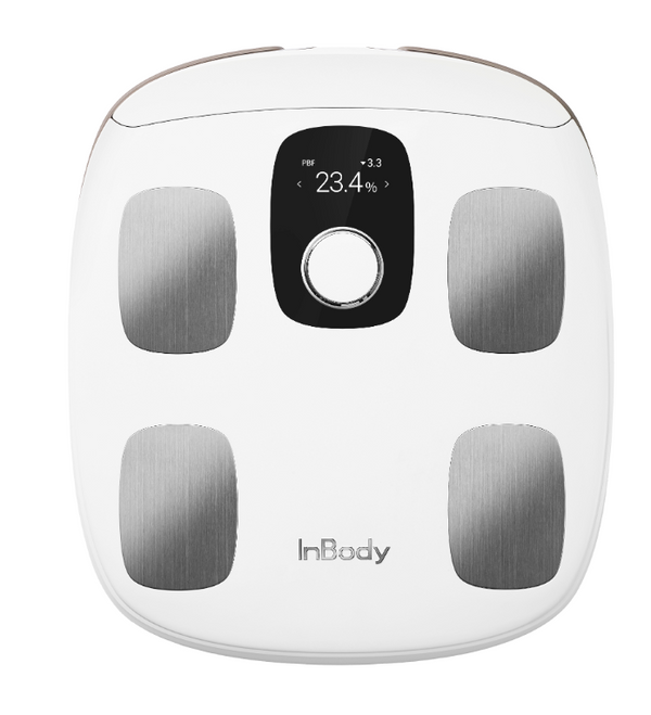 InBody Dial H30 | Wellbots InBody Dial H30 | Wellbots