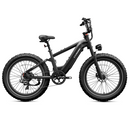 CYCROWN Roma All-Terrain Ebike