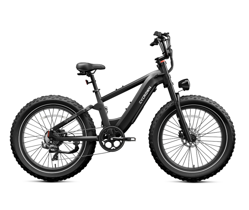 all terrain elektrofahrrad CYCROWN Roma All-Terrain Ebike