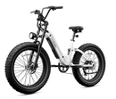 CYCROWN Roma All-Terrain Ebike