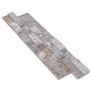Silver Ledger 3D Panel 6"x24" Natural Travertine Wall Tile - Full Truckload