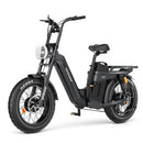 TESWAY X5 AWD Step-Thru E-Bike – Easy Mount 3600W Dual Motor