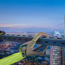 Twin Leg Internal Shock-Absorbing Lanyard with Snap Hook and Scaffolding Hook