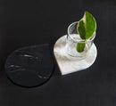 Marble 4"x5" Teardrop Coasters Semi-polished set of 2