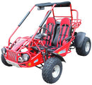 TrailMaster 300E XRS (EFI) Dune Buggy Go Kart, Liquid Cooled, Chain Drive