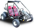 TrailMaster 300E XRS (EFI) Dune Buggy Go Kart, Liquid Cooled, Chain Drive