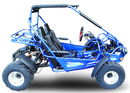 TrailMaster 300E XRS (EFI) Dune Buggy Go Kart, Liquid Cooled, Chain Drive