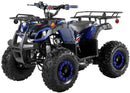 TrailMaster B125 125cc Utility ATV, Automatic with Reverse, 8-inch Wheels, Ages 9-12