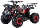 TrailMaster B125 125cc Utility ATV, Automatic with Reverse, 8-inch Wheels, Ages 9-12