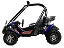 TrailMaster Blazer 200EX EFI Buggy Go Kart, LED Light Bar, Windshield Included