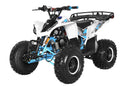 TrailMaster F125 125cc Sport ATV, Automatic with Reverse, 8-inch Wheels, Ages 9-12