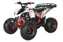 TrailMaster F125 125cc Sport ATV, Automatic with Reverse, 8-inch Wheels, Ages 9-12