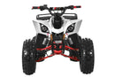 TrailMaster F125 125cc Sport ATV, Automatic with Reverse, 8-inch Wheels, Ages 9-12