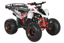 TrailMaster F125 125cc Sport ATV, Automatic with Reverse, 8-inch Wheels, Ages 9-12