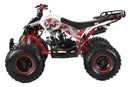 TrailMaster F125 125cc Sport ATV, Automatic with Reverse, 8-inch Wheels, Ages 9-12