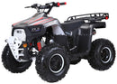 Lander-XD 125UF 125cc Utility ATV, Automatic with Reverse, 8-inch Wheels, Ages 9-12