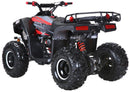 Lander-XD 125UF 125cc Utility ATV, Automatic with Reverse, 8-inch Wheels, Ages 9-12