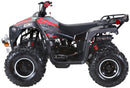 Lander-XD 125UF 125cc Utility ATV, Automatic with Reverse, 8-inch Wheels, Ages 9-12