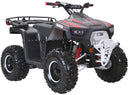 Lander-XD 125UF 125cc Utility ATV, Automatic with Reverse, 8-inch Wheels, Ages 9-12