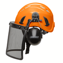 Safety Work at Height Helmet System with Iron Mesh Face Shield and Earmuffs