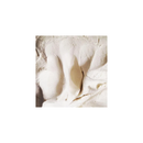 PicoSTEM White Porcelain 25lbs