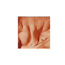 PicoSTEM Earthenware 25 lbs