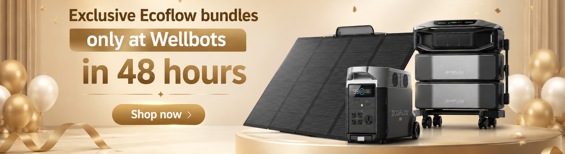 Wellbots Anniversary sale banner