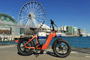 YOUNG Electric E-Flow 750W Folding eBike