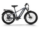 Himiway D5 (Zebra) / All-terrain Electric Fat Bike