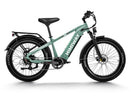 Himiway D5 (Zebra) / All-terrain Electric Fat Bike