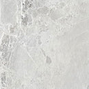 Agora Royal Gray Marble Polished Floor and Wall Tile - Large Format - Livfloors Collection