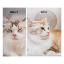 PETKIT AirSalon Max Pet Dryer Box