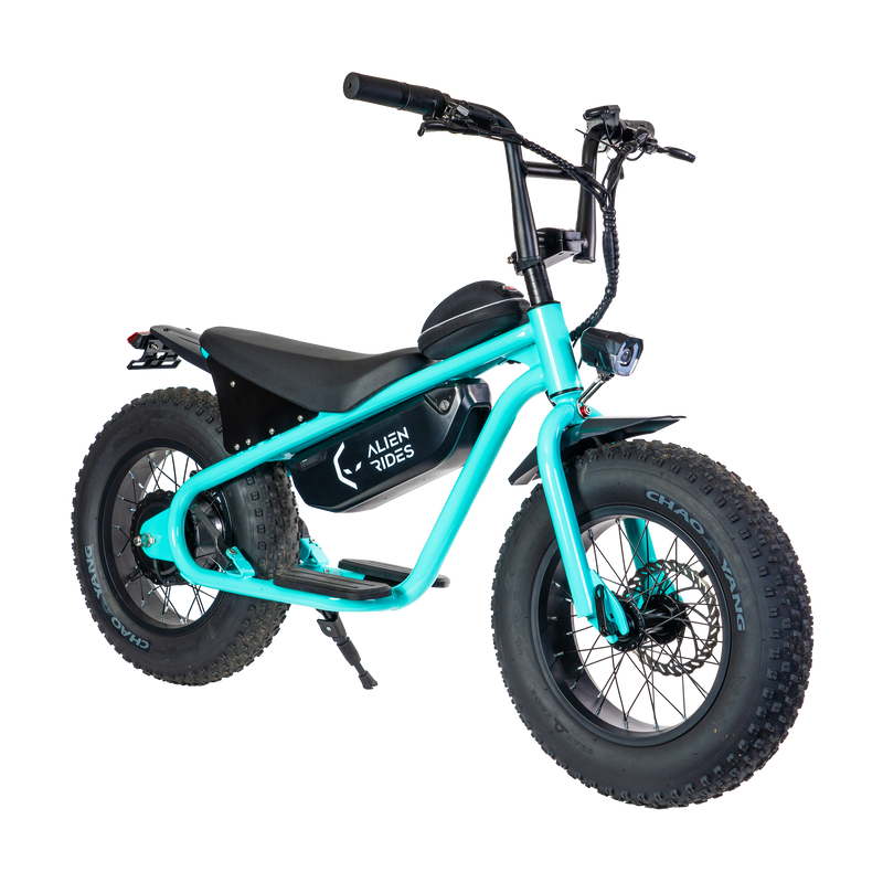AR Atom 1000 Watt Mini Electric Bicycle