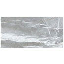 Astana Gray Exotic Marble Polished Floor and Wall Tile - Large Format - Livfloors Collection