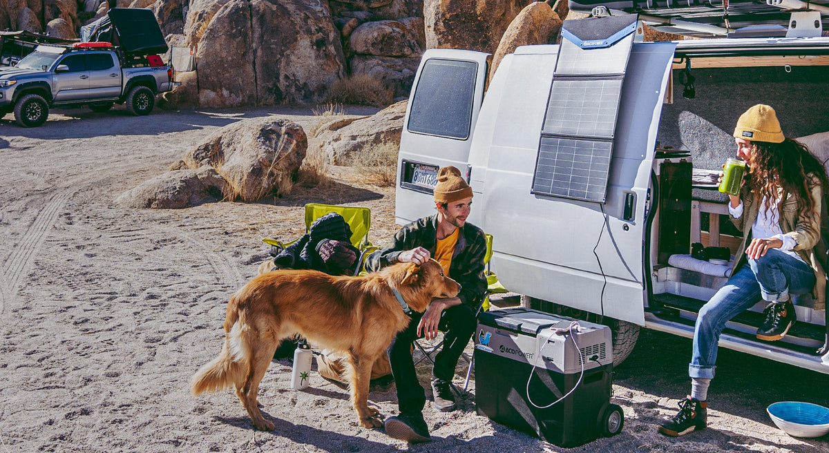 banner-3_1200x.jpg?v=1703158252