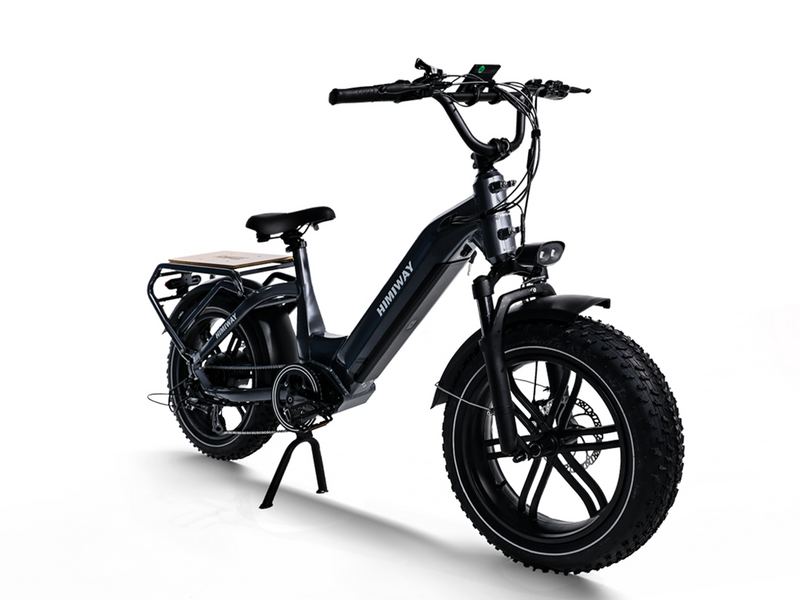 Himiway Big Dog eBike Cargo