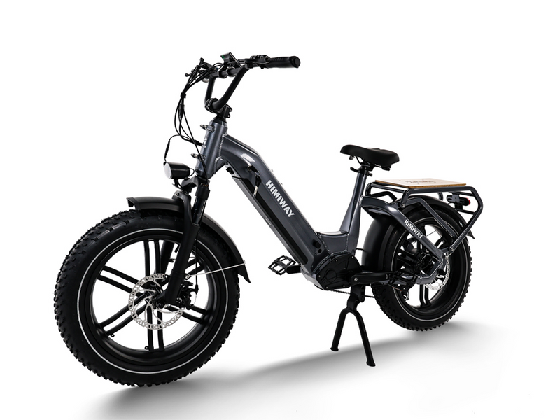 Himiway Big Dog eBike Cargo