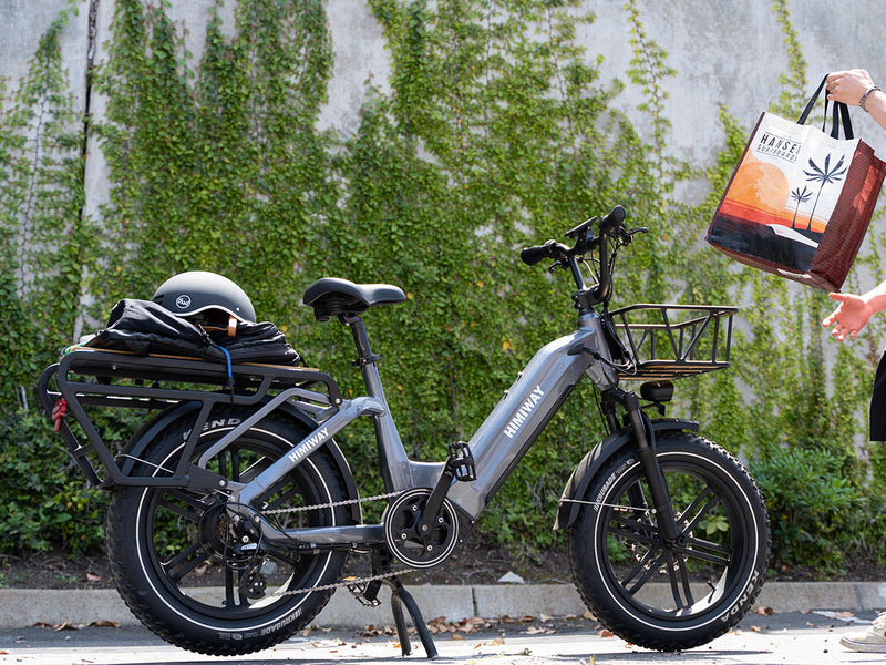 Himiway Big Dog eBike Cargo