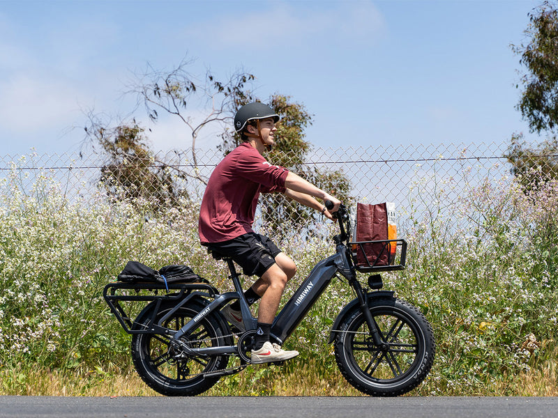 Himiway Big Dog eBike Cargo