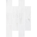 Bianco Dolomite Marble Tile Honed-Wall Collection - Livfloors Collection