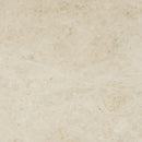 Cappuccino Light Beige Marble Floor and Wall Tile - Livfloors Collection